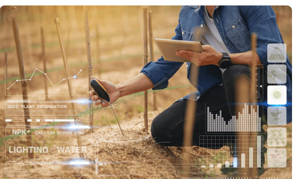 How Data Is Becoming the New Land