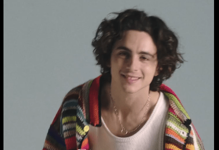 Timothée Chalamet 