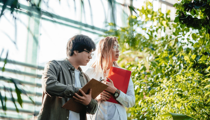 King’s College to Introduce Climate Impact Score for All Degrees