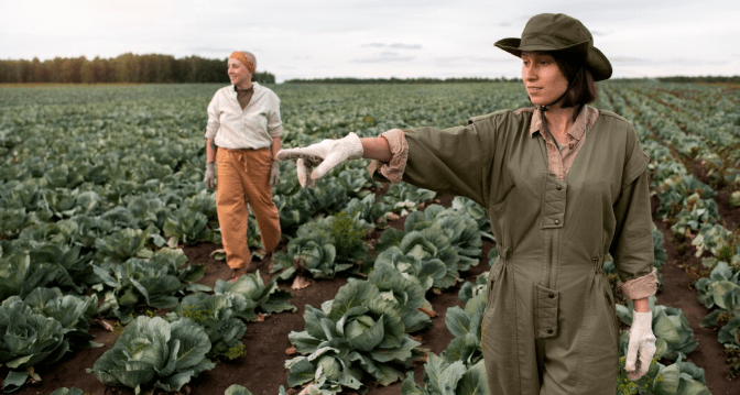 California to Ban Foreign Firms from Buying Farmland Near Defense Bases