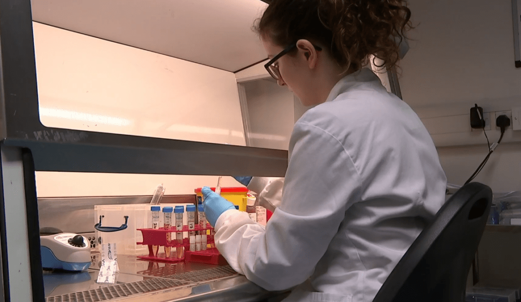 Can AI Predict the Next Pandemic? The Blueprint the WHO is Hoping For